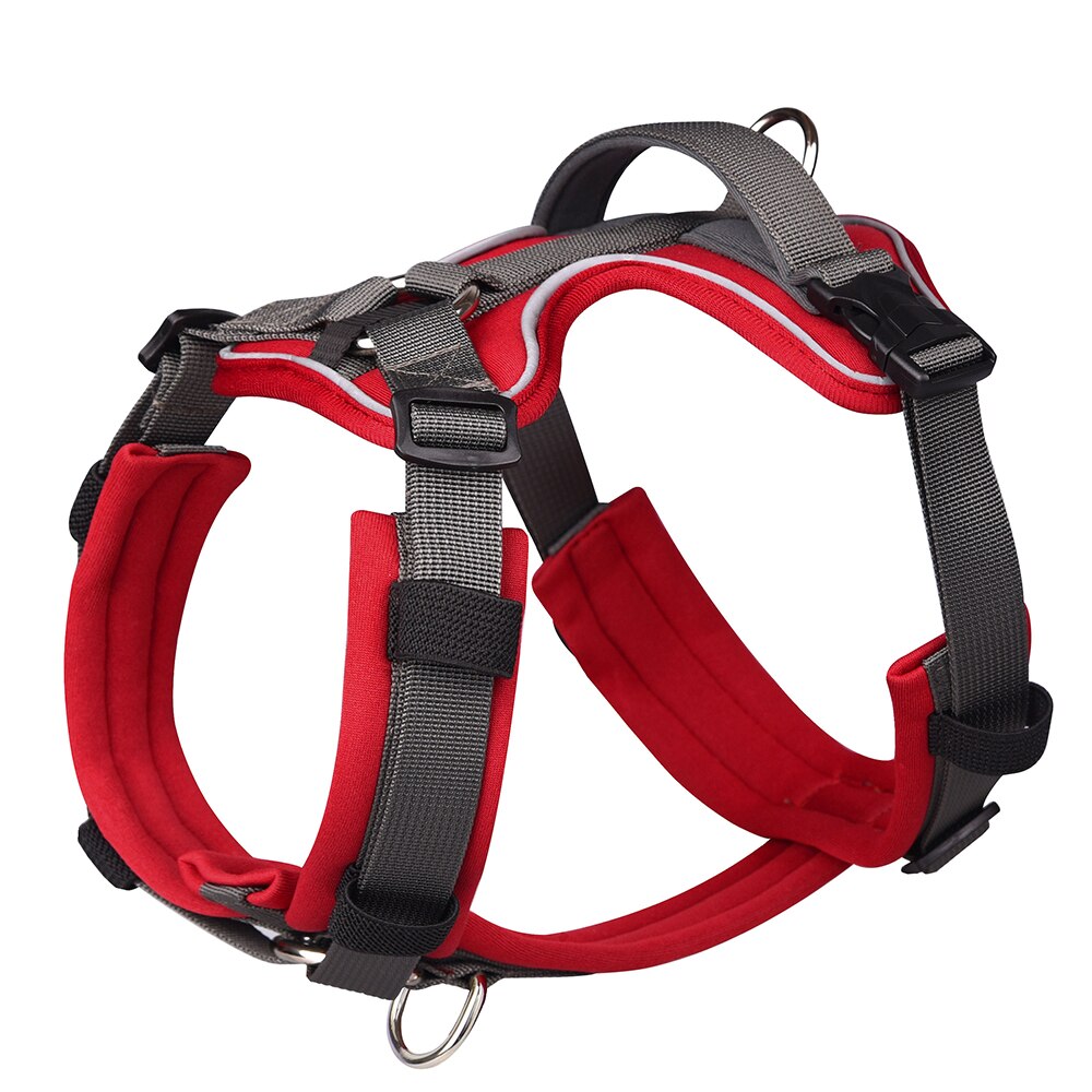 Köpek Göğüs Tasması 35549125