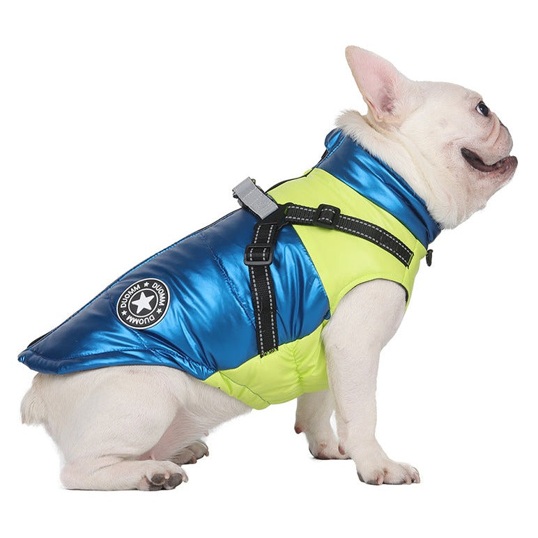 Köpek Yağmurluk