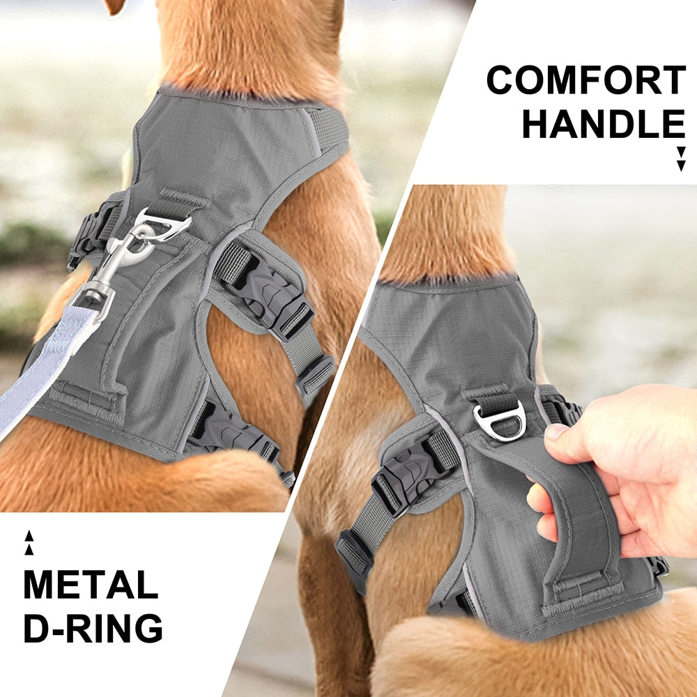 Köpek Göğüs Tasması 