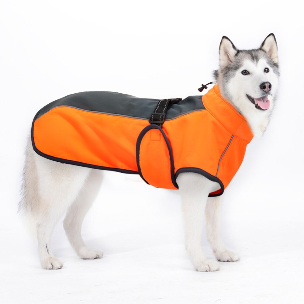 Köpek yağmurluk