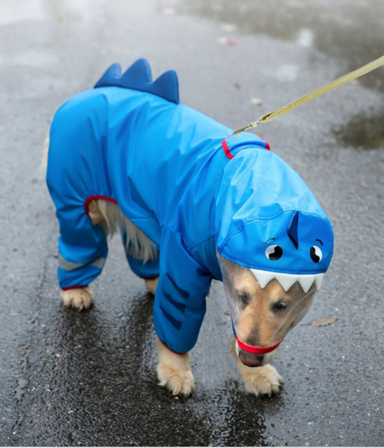 Köpek yağmurluk
