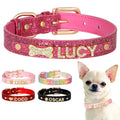 Köpek tasması Bling Charm İsimli Boyun Tasması 