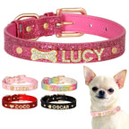Köpek tasması Bling Charm İsimli Boyun Tasması 