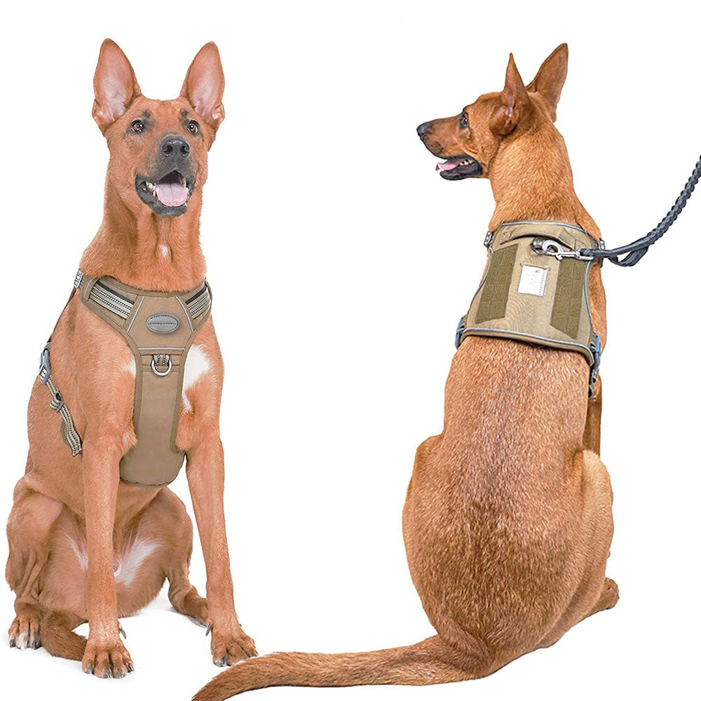 K9 Tactical Göğüs Tasması Reflective 15652648
