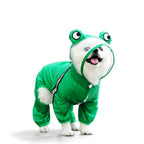 köpek yağmurluk