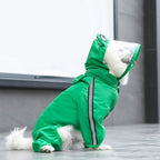 Köpek Yağmurluk