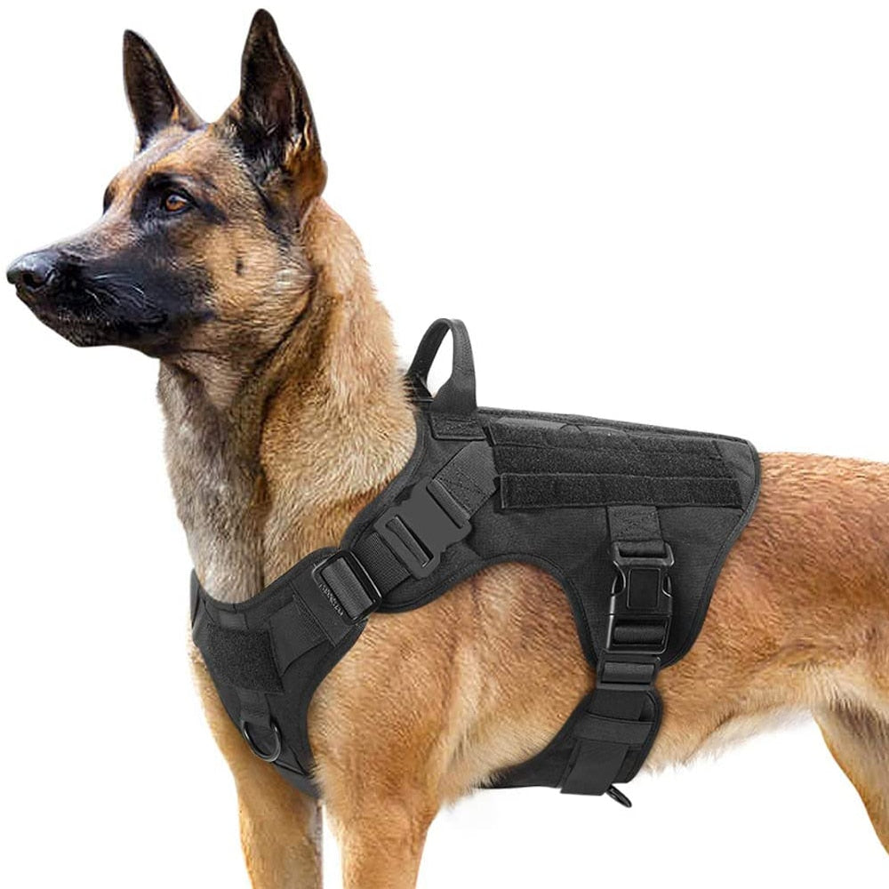 K9 Köpek Göğüs Tasması Tactical SET 24508871