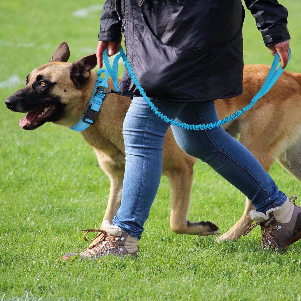 K9 Tasma Kayış seti 40023747