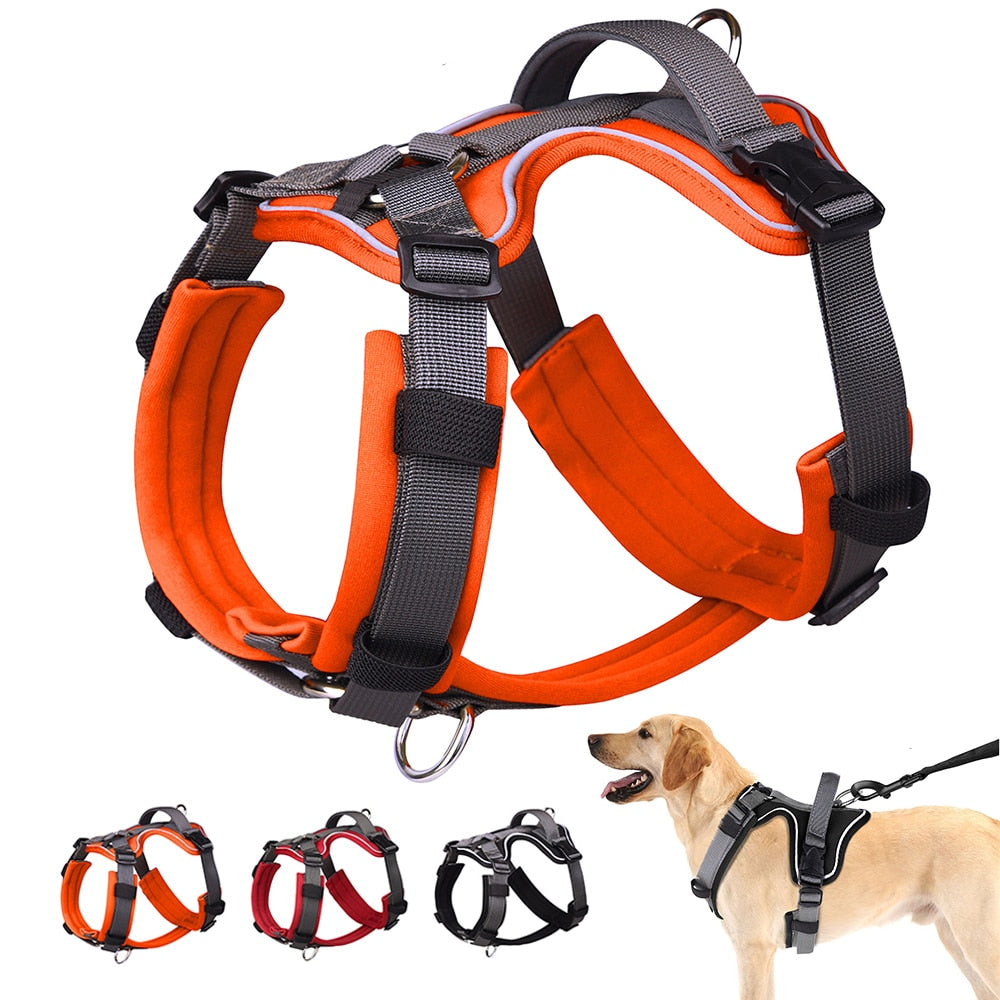 Köpek Göğüs Tasması 