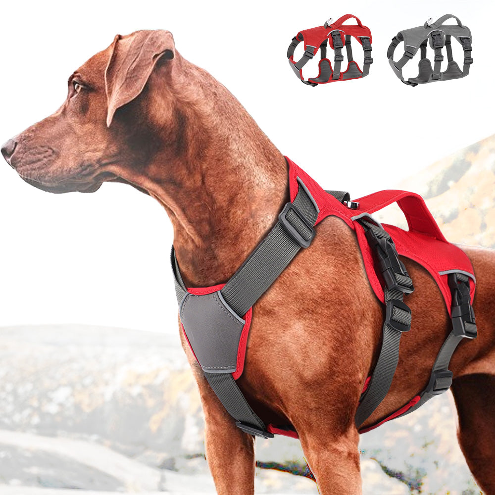 Köpek Göğüs Tasması 01865205