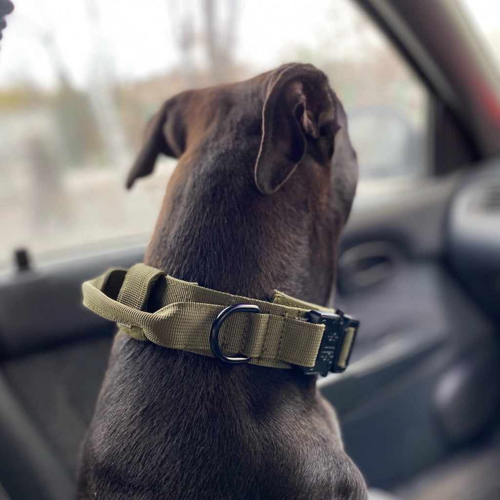 Köpek Göğüs Tasması Tactical SET 40621272