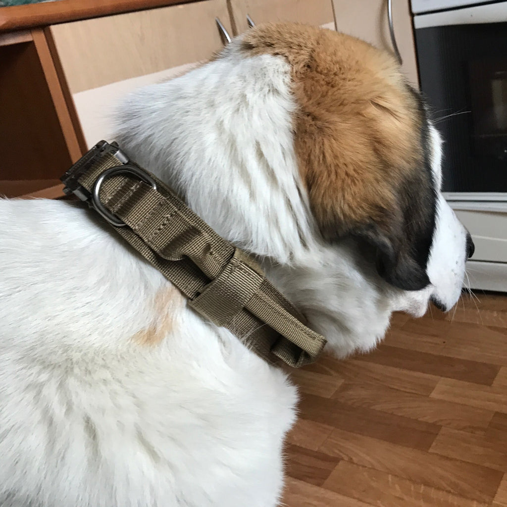 Köpek Göğüs Tasması Tactical SET 40621272