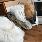 Köpek Göğüs Tasması Tactical SET 40621272