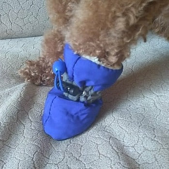 Köpek ayakkabısı REFLECTİVE 7421541