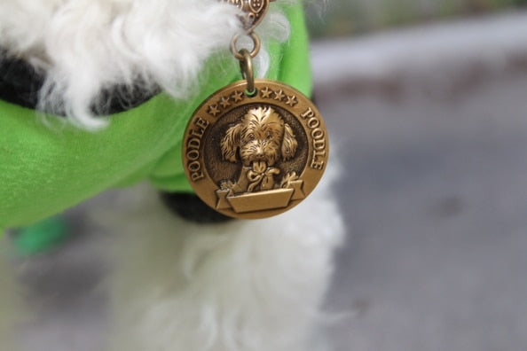 köpek isimlik KUTULU 17247747