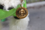 köpek isimlik KUTULU 17247747