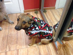 Köpek yağmurluk reflective 31013530