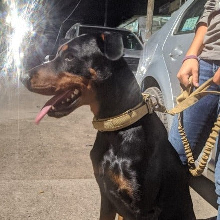 Köpek Gezdirme Kayışı Tactical 23082716