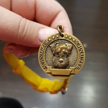 köpek isimlik KUTULU 17247747