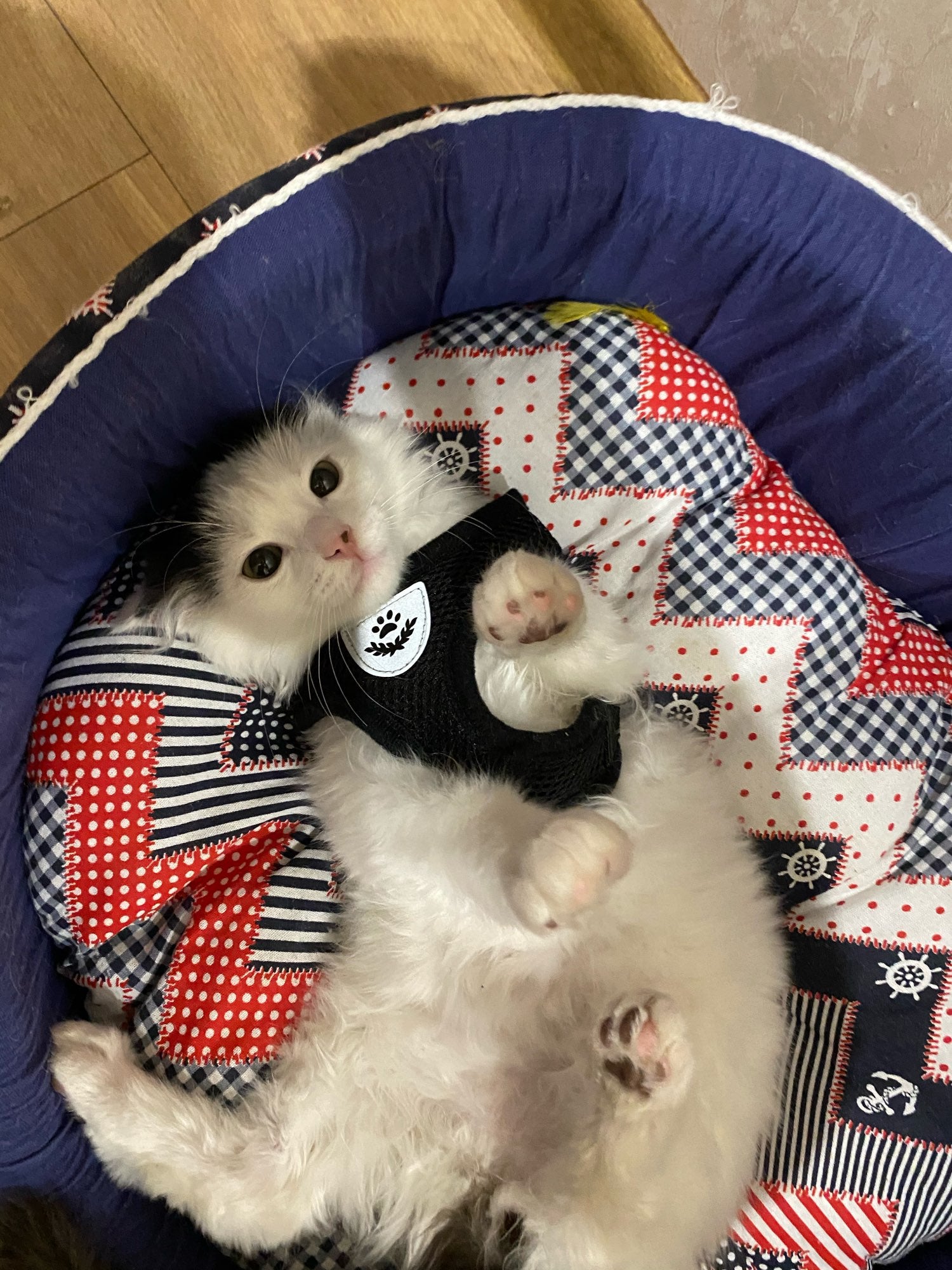 Kedi göğüs tasması kayış seti REFLECTİVE 23201338
