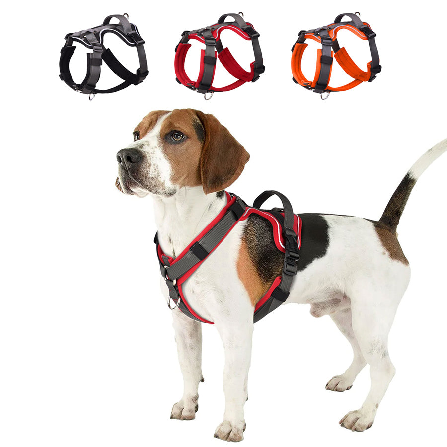 Köpek Göğüs Tasması 35549125