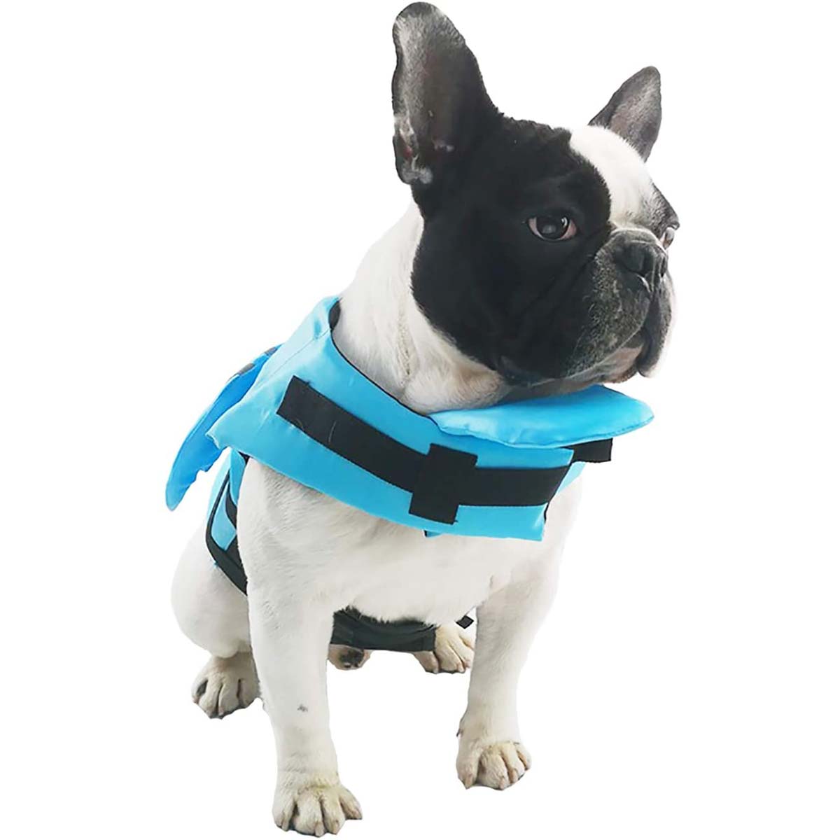 hep21 Köpek Cankurtaran Yeleği