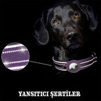 Köpek Tasması 