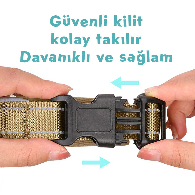 Köpek Tasması 