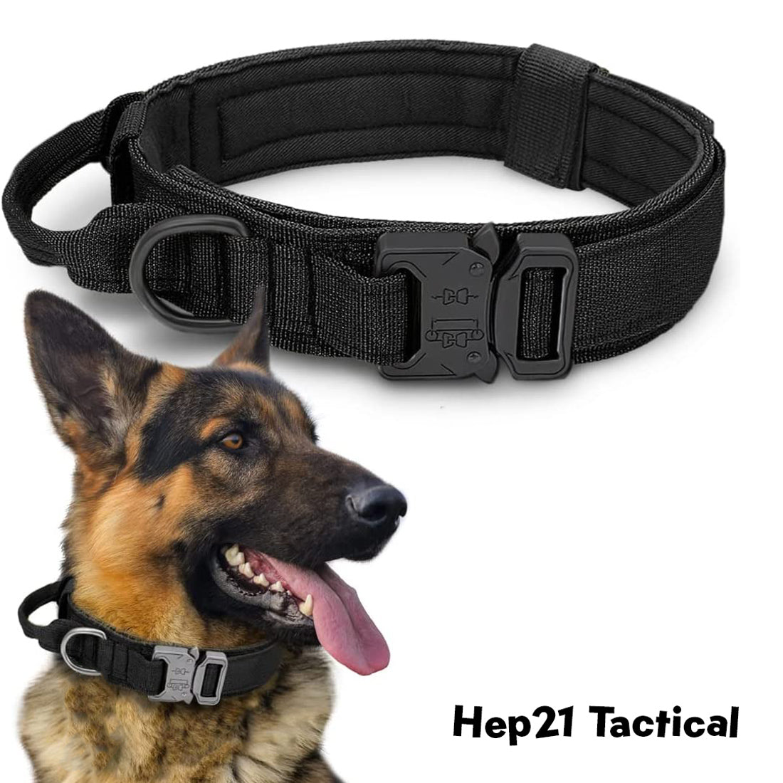 K9 Tasma Tactical 
