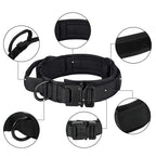 K9 Tasma Tactical 