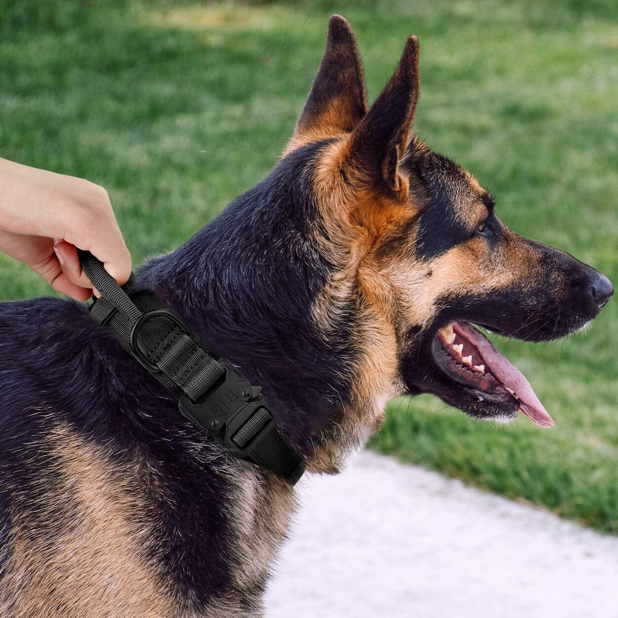 K9 Tasma Tactical 