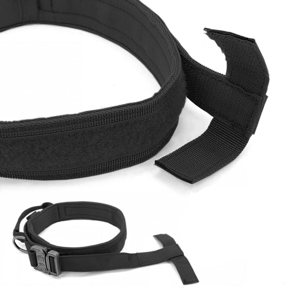 K9 Tasma Tactical 