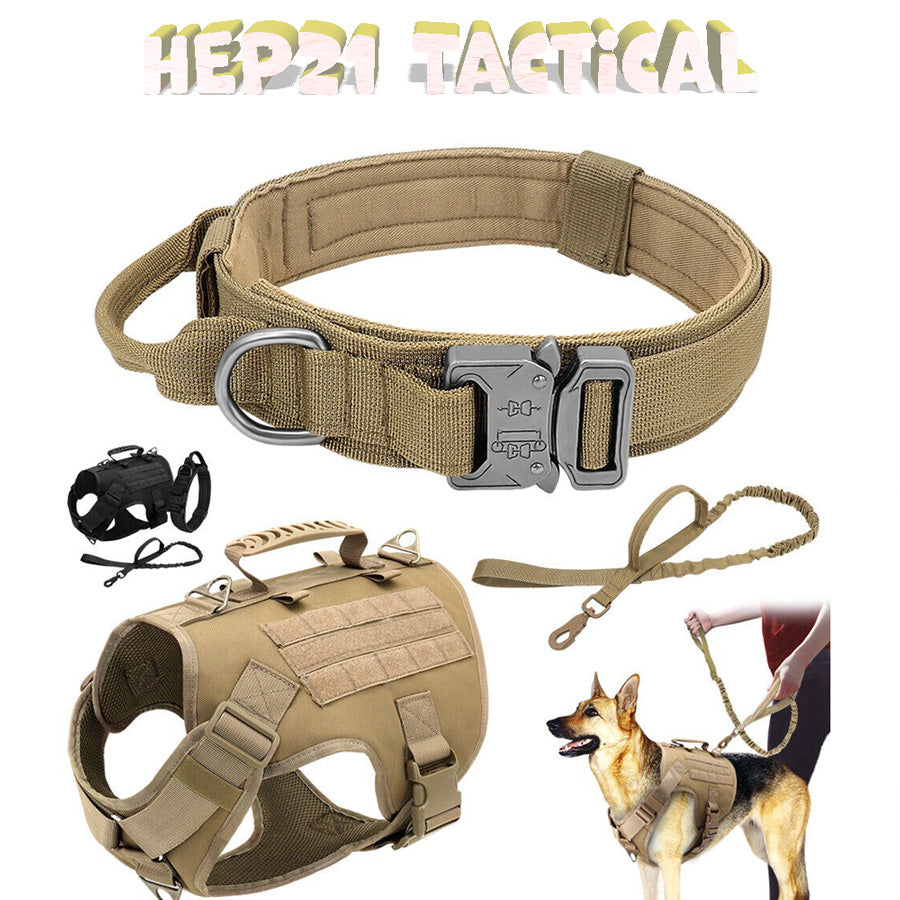 Köpek Göğüs Tasması