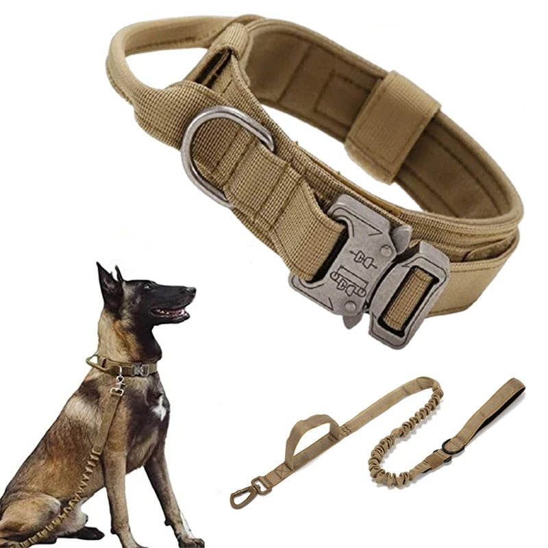 Kangal tasması Kayış SET 40023747