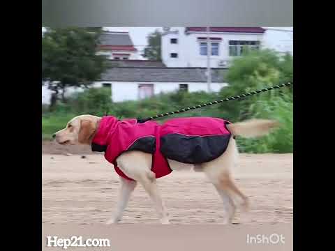 Köpek Yağmurluk Mont 47295254