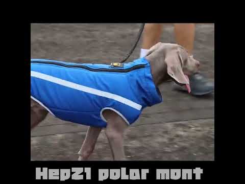Köpek Yağmurluk Polar 22569102