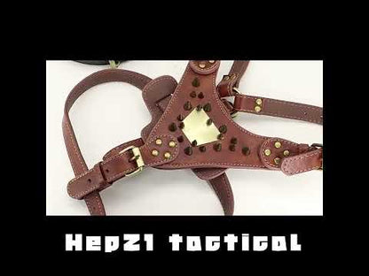 Dog Harness Tactical LEATHER 14393881
