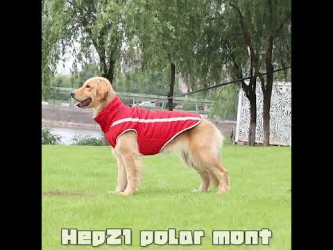 Köpek Yağmurluk Polar 22569102
