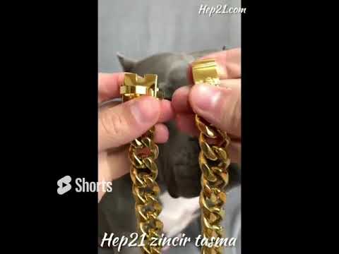 Zincir Tasma paslanmaz çelik tasma 61286