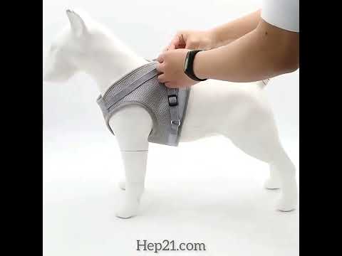 Köpek göğüs tasma kayış seti reflective 15547682