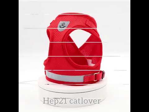 Kedi gezdirme tasması SET 16717568