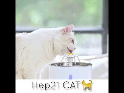 Kedi su kabı 44469125