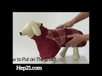 Köpek Montu  KÜRKLÜ 39723103