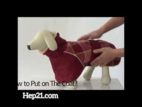 Köpek Montu  KÜRKLÜ 39723103