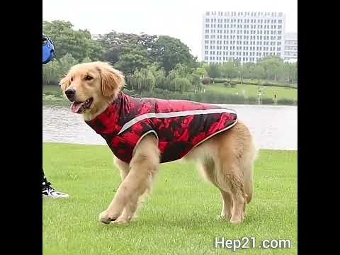 Köpek yağmurluk reflective 31013530