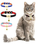 Kedi boyun tasması
