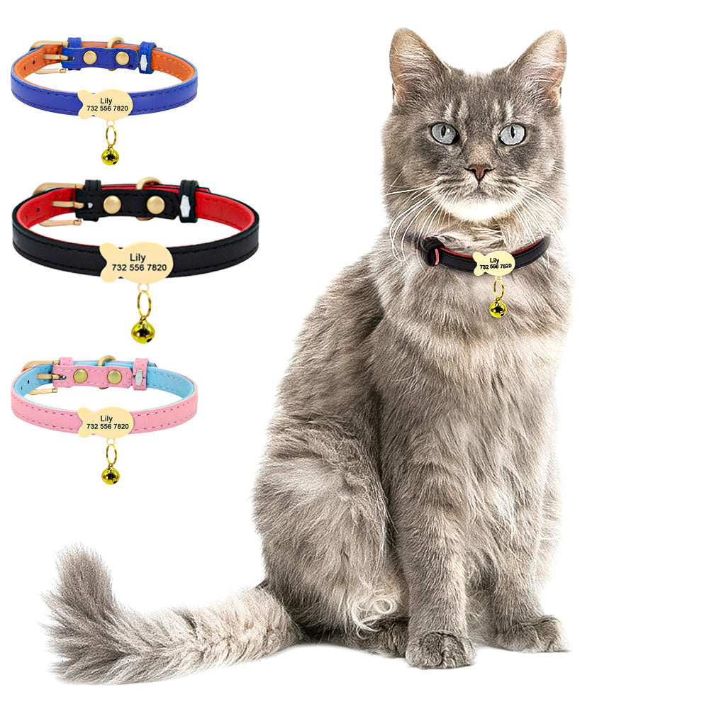 Kedi boyun tasması