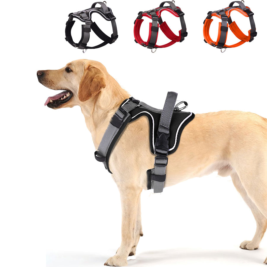 köpek göğüs tasması hep21