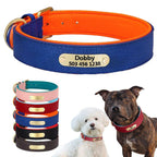 Köpek Tasması Deri 39316467