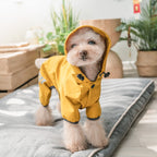 Köpek Yağmurluk Tulum